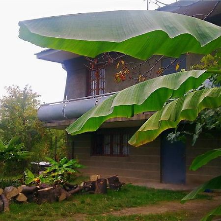 Farmer'S Guest House Telavi Exteriör bild