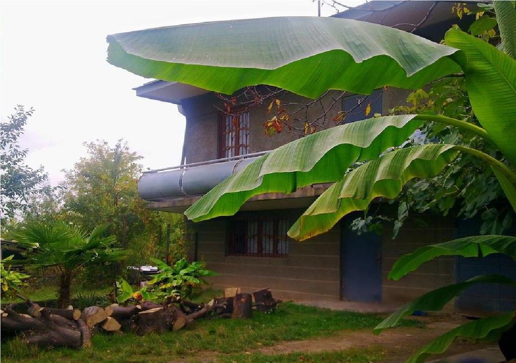 Farmer'S Guest House Telavi Exteriör bild